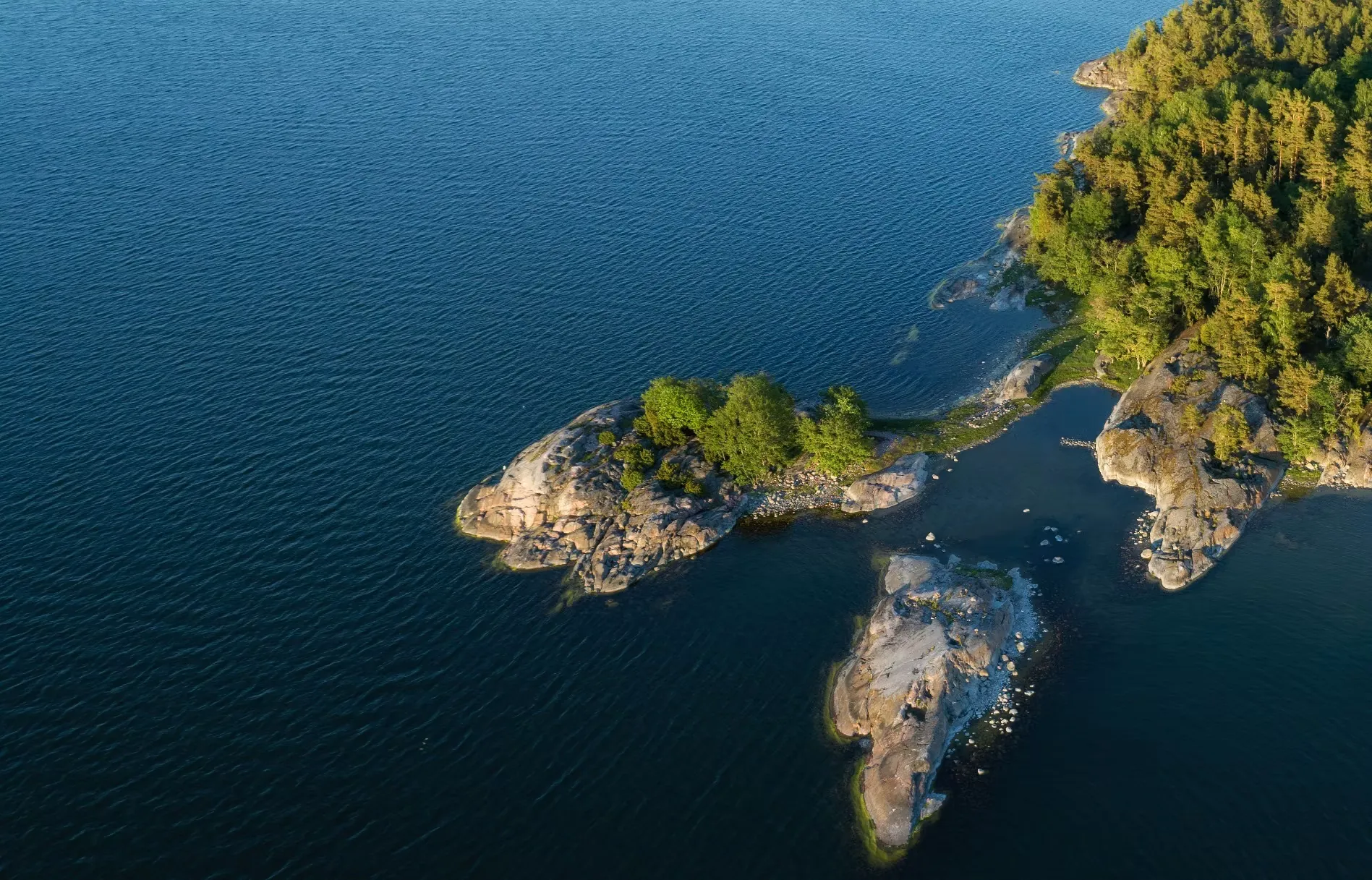 Vi renar och återställer ekosystemen i övergödda sjöar och havsvikar med naturliga mineraler